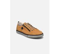 Fluchos Quebec 9376 44 Amarillo