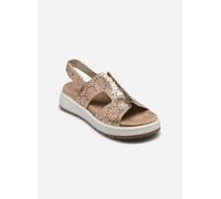 Fluchos STREET F2007 39 Oro y bronce