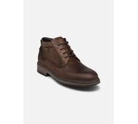 Fluchos Truman F1593 45 Marrón