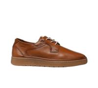 Fluchos - Zapato Casual de cordón elástico,Blucher de Piel,Plantilla Extraible,Suela de Goma,Liso,Plano, para: Hombre Color: Cuero Talla:44