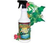 Fluja de limpieza de lluvia de la jungla: limpiador de plantas y rboles no txicos naturales con aceite de naranja y jabn de castillo de 32 oz