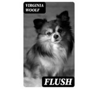 Flush (ebook)