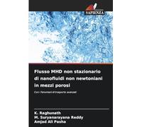 Flusso MHD non stazionario di nanofluidi non newtoniani in mezzi porosi: Con i fenomeni di trasporto avanzati