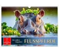 Flusspferde - die stillen Giganten (Wandkalender 2026 DIN A3 quer), CALVENDO Monatskalender: Sanfte Giganten. Staunen. Schmunzeln. Träumen.