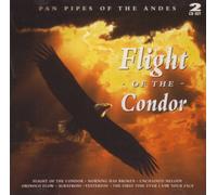 Flûte des Andes - Flight of the Condor