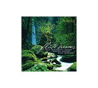 Flute Dreams [CD de audio] Michael Maxwell