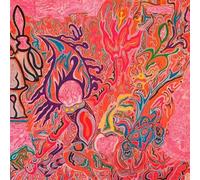 Flute & Voice - Imaginations of Light/Hallo Ra [Vinilo]