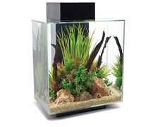 Fluval Acuario Edge 2.0 LED 46 L Negro