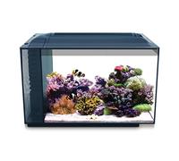 Fluval Evo Acuario Marino, Negro, 52 L