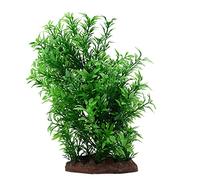 Fluval Helzine - Juego de Plantas pequeñas (20 cm), diseño de Acuario