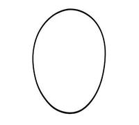 Fluval Junta Tórica de Cubierta de Filtro FX5 - 1 ud.