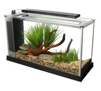 Fluval Spec Nano Acuario, 19 L, Negro | Acuario con iluminación LED y sistema de filtración de 3 etapas