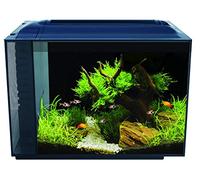Acuario FLUVAL SPEC - Color del Producto: Negro | Opción: 60 litros