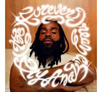 Fly Anakin - (The) Forever Dream [Vinilo]