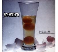 Flycatcher - Ovulation