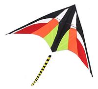 Flyer Kite Outdoor Big Creative Flame Eagle - Cometa para adultos, firmemente apoyada por un juego de iluminación interactivo de varilla de resina (tamaño: 9 pies + 100 pies de cola) (9 x 100 pies de
