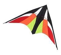 Flyer Kite Outdoor Big Creative Flame Eagle - Cometa para adultos, firmemente apoyada por un juego de iluminación interactivo de varilla de resina (tamaño: 9 pies + 100 pies de cola) (9 pies)