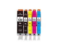 FLYFLZJYJR Cartucho de Tinta de inyección de Tinta de Color Compatible PGI530 CLI531 for Impresora Pixma TS8750 TS8751(1Set (5PCS))