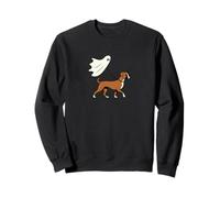 Flying Ghost Walking Boxer Dog - Dog Mom Dad Pet Sudadera