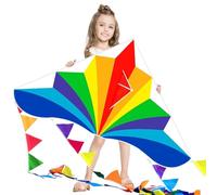 Flying Hoofer Cometa grande Rainbow Delta para niños y adultos, cometa de playa de una sola línea para niños de 4 a 8 y 8 a 12 años, cometa fácil de volar para niños pequeños y principiantes (1