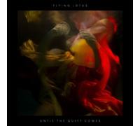 Flying Lotus Until the Quiet Comes (Vinyl) 12" Album