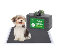 Flying Paws Empapadores para Perros 33x45 cm - Pack de 50 Unidades - Alfombrillas Higiénicas con Carbón Activo, Superabsorbentes y Antifugas para Cachorros