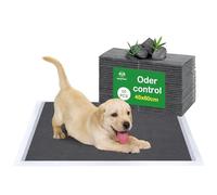 Flying Paws Empapadores para Perros 45x60 cm - Pack de 50 Unidades - Alfombrillas Higiénicas Medianas con Carbón Activo, Superabsorbentes y Antifugas
