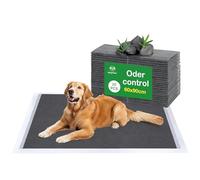 Flying Paws Empapadores para Perros 60x90 cm - Pack de 20 Unidades - Alfombrillas Higiénicas Extra Grandes con Carbón Activo, Superabsorbentes y Antifugas