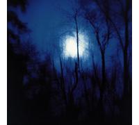 Flying Saucer Attack – Further – Domino