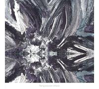 Flying Saucer Attack - Instrumentals 2015