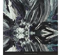 Flying Saucer Attack - Instrumentals 2015 [Vinilo]