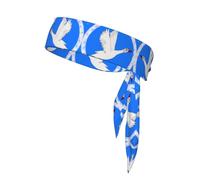 Flying White Goose Sport - Bandas de pelo antideslizantes y antisudor para hombres y mujeres, entrenamiento, correr, deportes