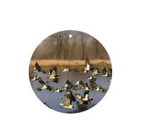 Flying Wild Ducks - Ambientador para coche, 10 piezas, hojas aromáticas, accesorios para colgar en el coche con cuerdas para decoración