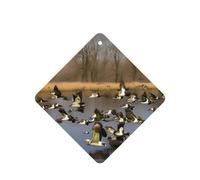 Flying Wild Ducks - Ambientador para coche, 10 piezas, hojas aromáticas, accesorios para colgar en el coche con cuerdas para decoración