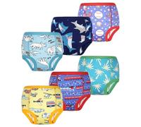 FLYISH DIRECT Calzoncillos de Entrenamiento para Niños y Niñas, 6 Packs de Ropa Interior de Entrenamiento Absorbente y Reutilizable, Viaje de Aventura, 6 años