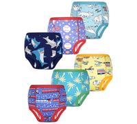 FLYISH DIRECT Calzoncillos de Entrenamiento para Niños y Niñas, 6 Packs de Ropa Interior de Entrenamiento Absorbente y Reutilizable, Viaje de Aventura, 4 años