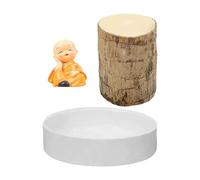 FmtwPhn Planta De Madera Brasileña Viva 5x10cm - Planta Ornamental De Interior con Diseño Miniaturizado, Kit De Cultivo para Hidroponía, para Decoración De Hogar, Oficina, Espacios Interiores