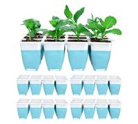 Fmzrbnih Bandejas de Siembra para Plántulas | 5 Piezas 60 Celdas Reutilizables de Inicio,Bandejas Cuadradas para Plántulas - para Jardinería, Macetas Interior, Alféizar, Césped, Hortalizas y Flores en