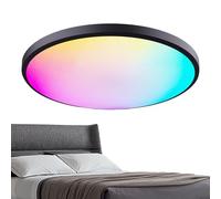 Fmzrbnih - Monte de descarga de agua, accesorios de techo de montaje de techo,LÁMPARA DIMMABLE 4 modos LEMPLAY LEMINE LED | 3000K-6500K LEMPORCIÓN DE COCIDOS DE SALA DE