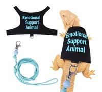 Fnaobai Juego de arnés y correa de dragón barbudo ajustable, correa de lagarto para reptiles, chaleco de cuerda, kit de iniciación, accesorios para animales pequeños, entrenamiento al aire libre