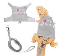 Fnaobai Juego de arnés y correa de dragón barbudo ajustable, correa de lagarto para reptiles, chaleco de cuerda, kit de iniciación, accesorios para animales pequeños, entrenamiento al aire libre