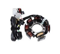 FNBDDX Bobina de estator compatible con Yamaha TTR125 TTR 125 TTR125-ER/ES/ET/EV/EW/EX/EY/LER/LES/LET/LEV/LEW/LEX/LEY/LEA/LEB/LED/E/L/L 5HP-85510-10