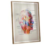FNYUVNFAF Anatomy Wall Art: Watercolor Human Muscles Poster with Complete Labels, Ideal for Clinic Decor, Student Study or Massage Room Framed,08x12inch(20x30cm)