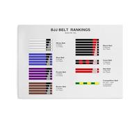 FNYUVNFAF BJJ Belt Guide - Jiu Jitsu Ranking System from White to Black Belt for Training and Home Decor Framed,08x12inch(20x30cm)