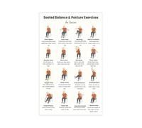 FNYUVNFAF Senior Chair Exercises Metal Tin Sign Seated Balance and Posture Guide Gentle Movement Reference for Elderly Home Wellness Wall Decor 8 X 12 in