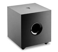 Focal Cub EVO