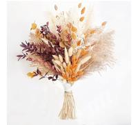 Focenat 64 Piezas Pampas Secas Decoracion Ramos de Flores Secas Naturales Hierba de Pampa Esponjosas Grandes Flores Secas Decoracion para Arreglos Florales de Boho Fiestas Bodas Salón Dormitorio Deco