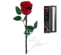 Focenat Rosa Eterna Preservada,Rosa Natural Preservada con Tallo,Flores Preservadas,Rosa Natural Preservada,Kit de Rosas,para Decoración del Hogar Boda San Valentín Navidad Aniversario