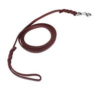Focket Caminar a Lina para Perros Duraderos con Diseño Trenzado, Cuerda de Seguridad para Perros de para Cursos Al Aire Libre, Collar de Fijación (Longitud del Material 1 Metro 5 Longitud Neta)