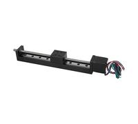Fockety Mini Etapa Lineal, Tornillo en Forma de T de un Solo Carril de 150 mm de Carrera de guía de Carril Lineal para X Y Z Ejes, Guía de Movimiento Lineal para fresadora grabadora CNC